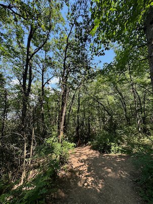 Sunlight falls on a dirt path in a green forest on Mount Vodno near Skopje.