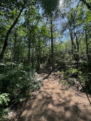 A trail climbs between tall trees in the forest on Mount Vodno near Skopje.