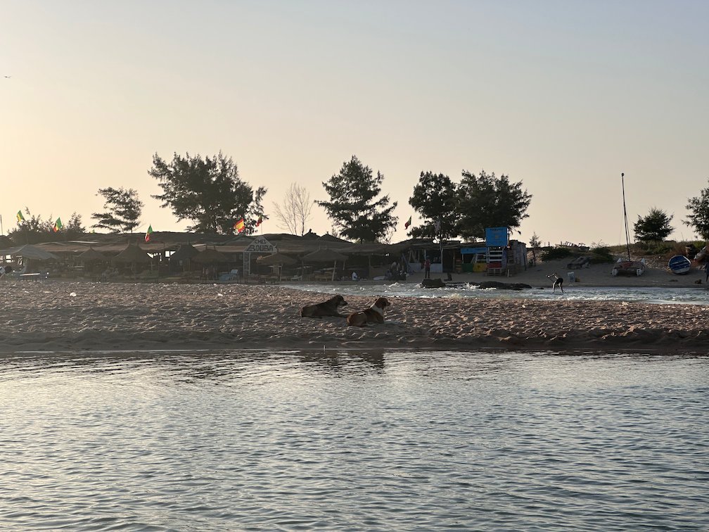 The Somone lagoon lies calm at dusk with trees on the shore.