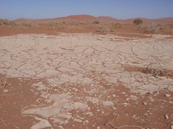 Dry cracked clay covers the ground of a pan below distant dunes at Sossusvlei, Namibia.