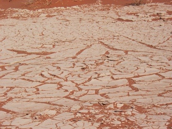 Red sand fills the cracks in dry white mud on a pan at Sossusvlei, Namibia.