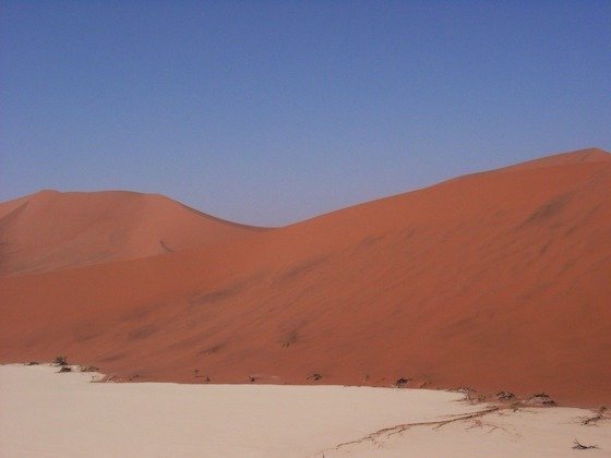 A tall red dune rises above a white clay pan under a deep blue sky at Sossusvlei.
