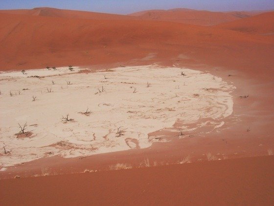 A white clay pan with dry plants lies between red dunes at Sossusvlei, Namibia.