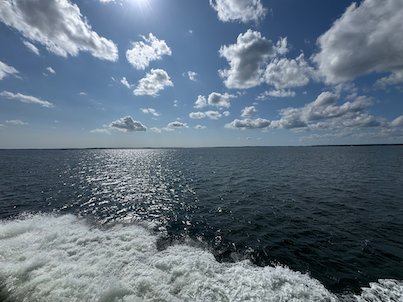 White foam from the ferry wake and sun on the water