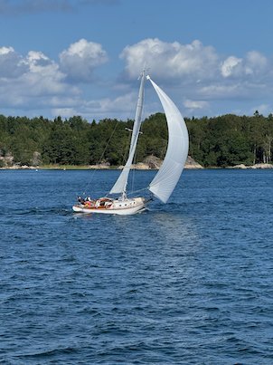 Sailboat with white sails on blue water near a wooded island