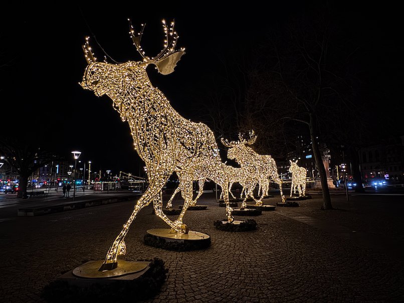 A line of moose sculptures made of white lights walking across a dark square in Stockholm