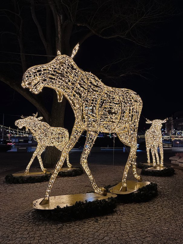 Moose sculptures made of warm white lights on a square in Stockholm at night
