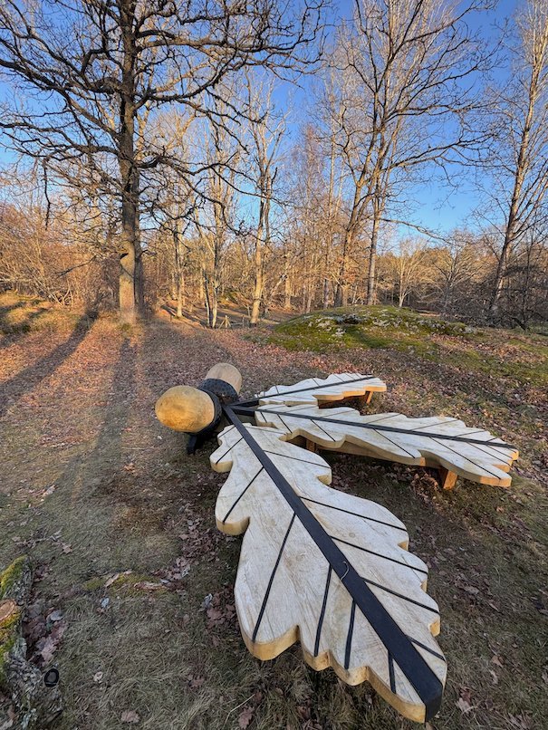 Large wooden oak leaf sculpture on the ground in a park with bare trees and low winter sun