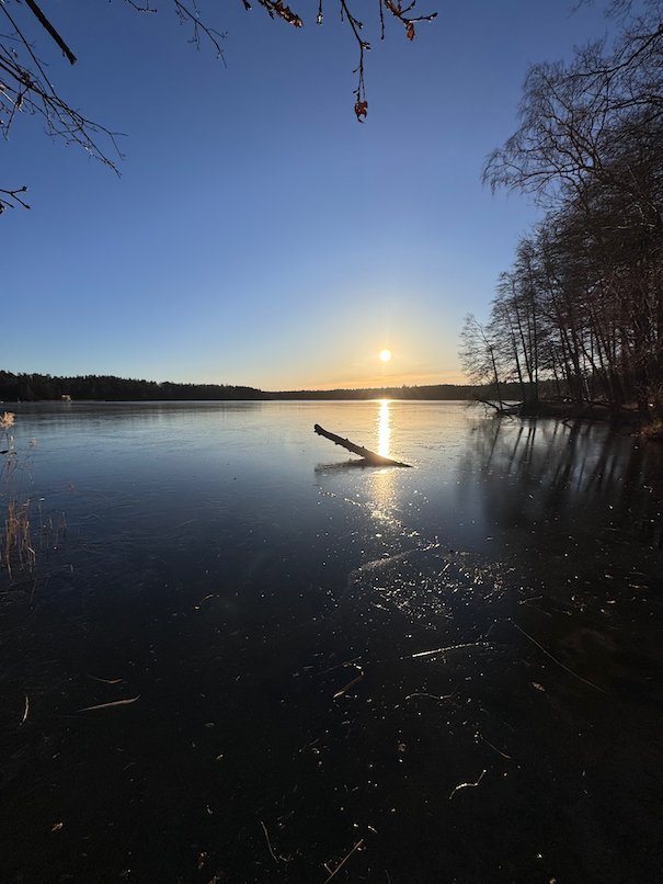 Low winter sun over a frozen lake near Stockholm, with bare trees along the shore