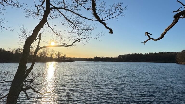 Low sun over a lake, seen through bare branches