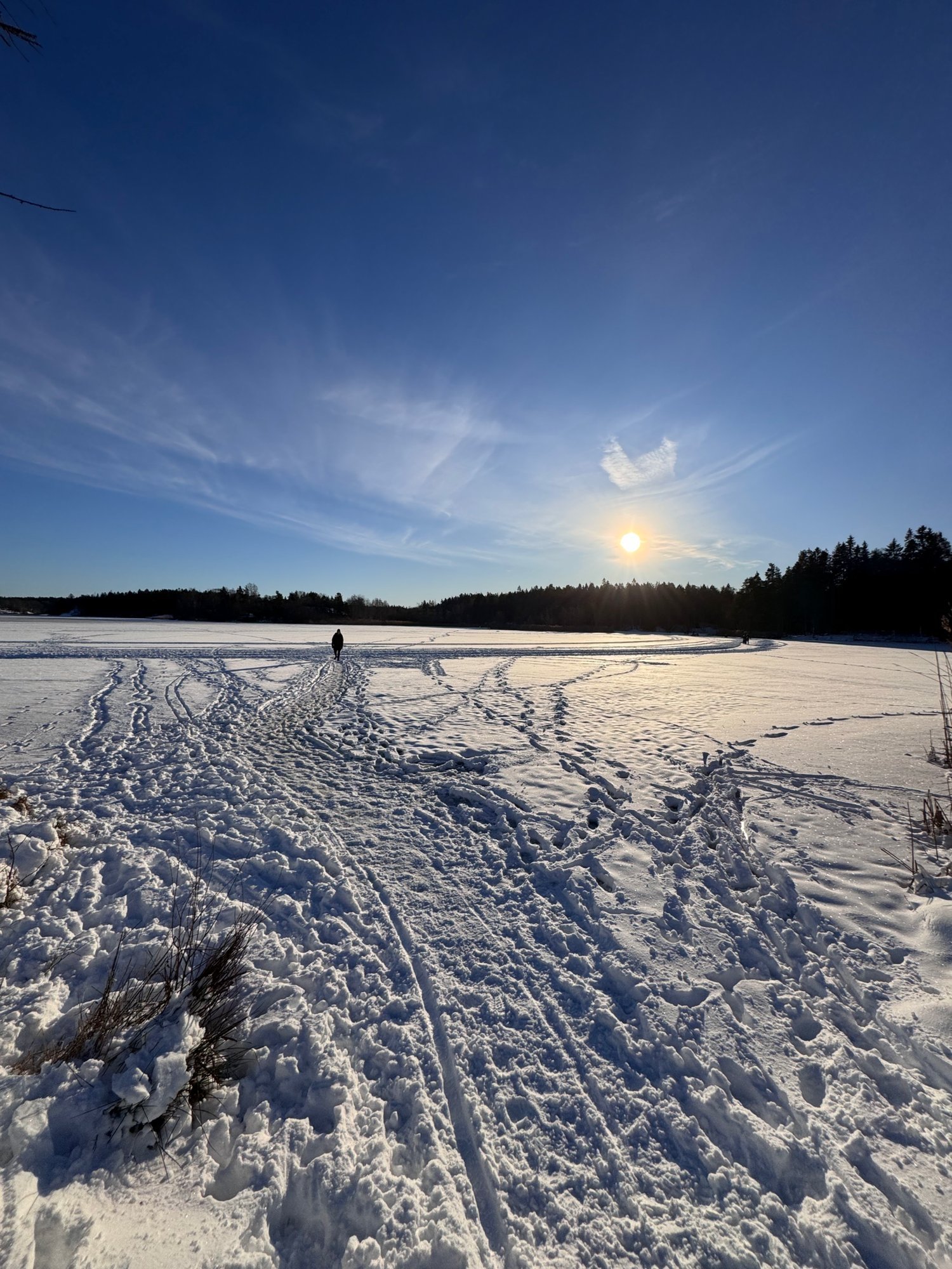 Zugefrorener See mit Spuren im Schnee und tief stehender Wintersonne in Schweden
