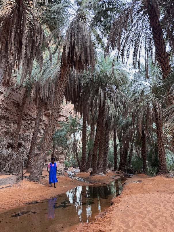 A person in blue stands among tall palms with water in front in Terjit.