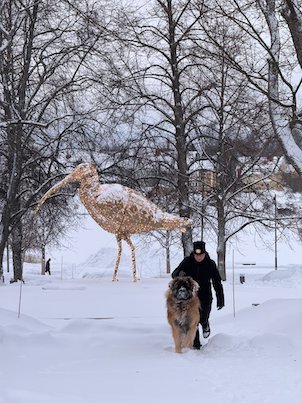 Large wooden bird sculpture in a snowy park, with a person and a big dog walking past