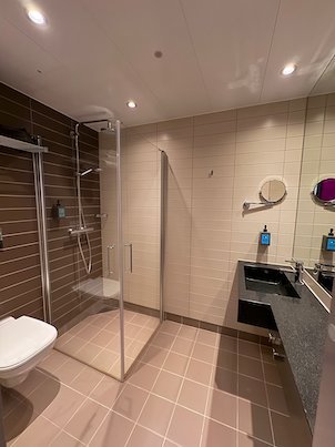 Modern hotel bathroom with a glass shower, a dark sink and brown tiles