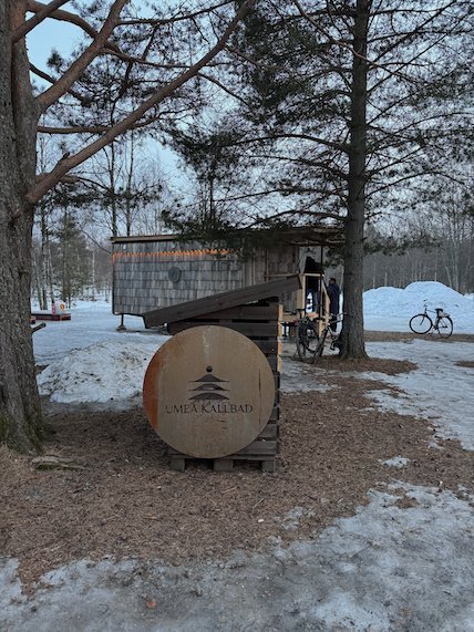 Wooden sauna and a round Umeå Kallbad sign among pine trees and snow