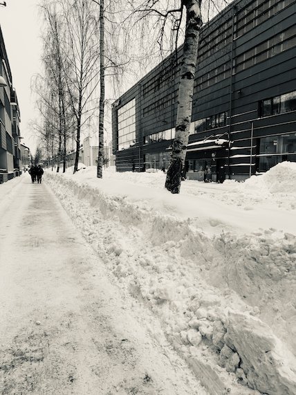 Pavement with high snow banks, birch trees and a modern building in Umeå