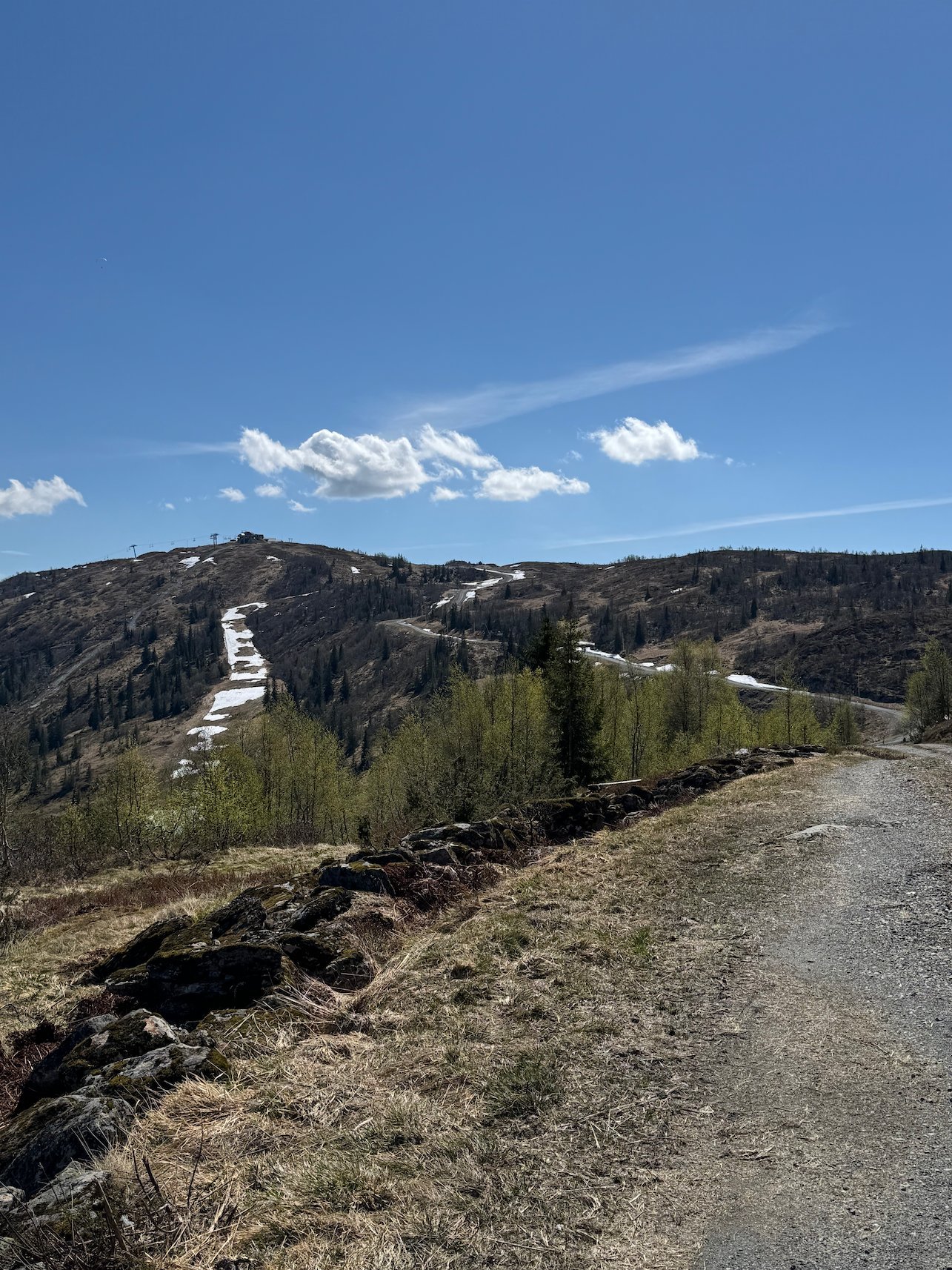 Gravel path along the ridge towards Vadalseggi, with birch trees and snow