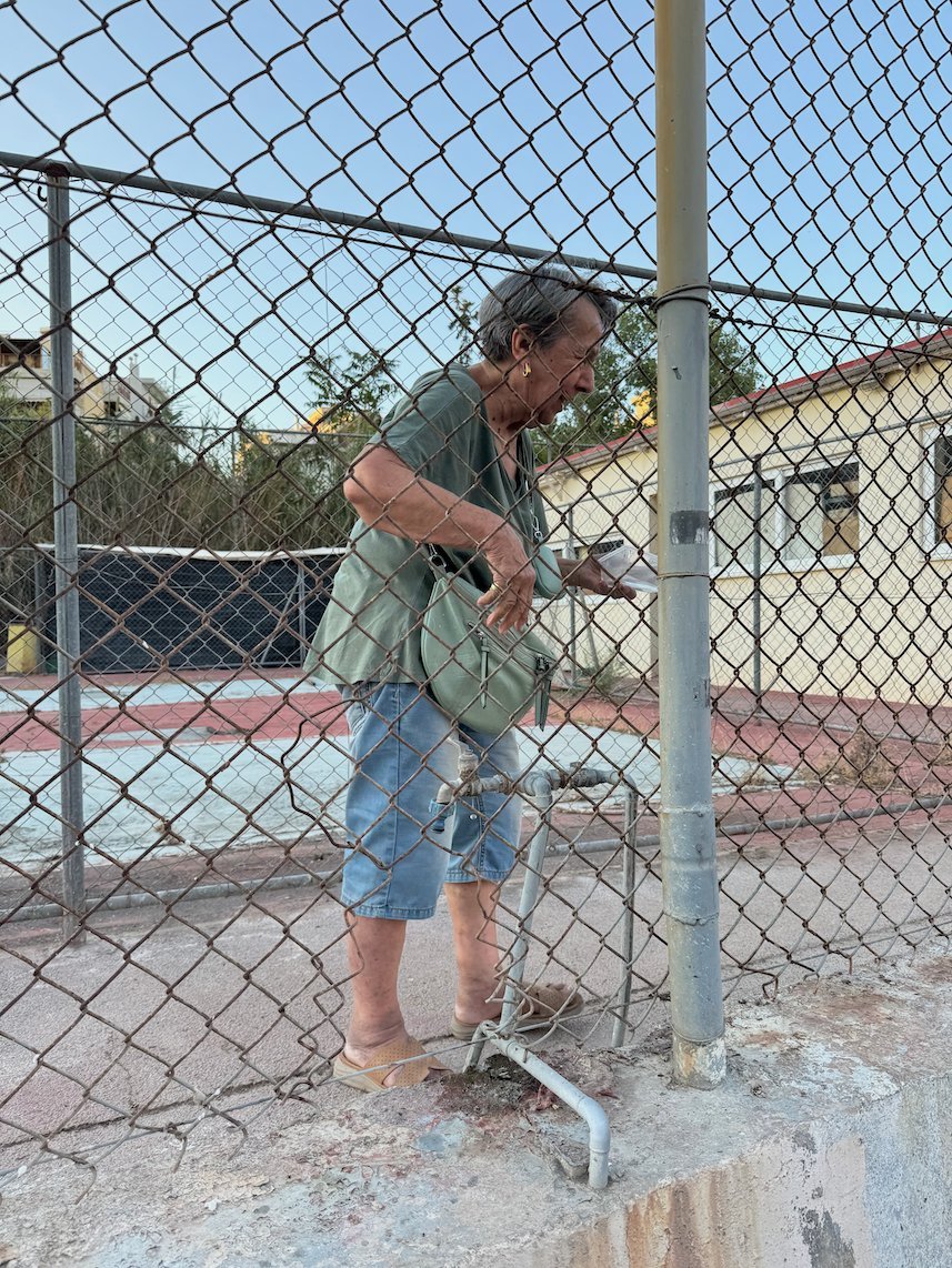 Older woman by a wire fence at a feeding place for stray cats in Athens