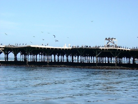 Birds fly over a long wooden platform that stands in the sea near Walvis Bay, Namibia.