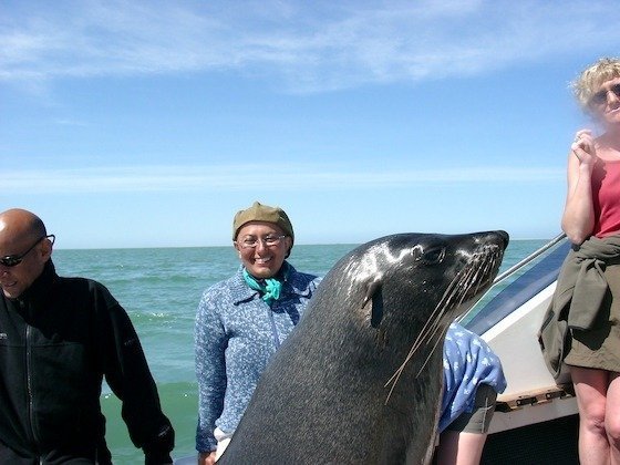 A traveler in a cap smiles next to a large fur seal on a tour boat in Walvis Bay.