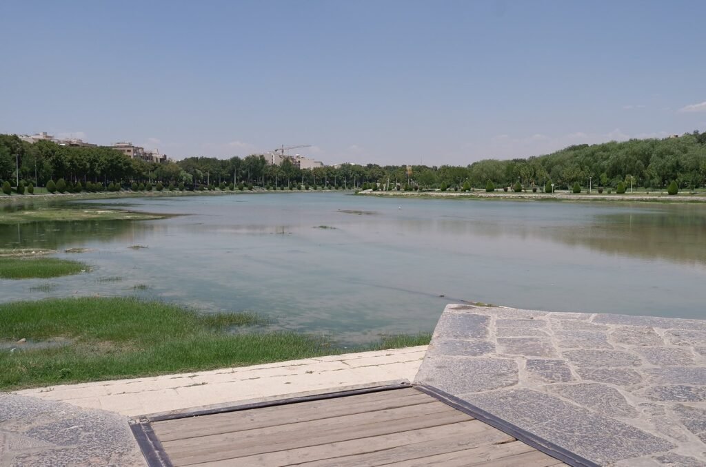 Shallow water and green plants in the Zayandeh River