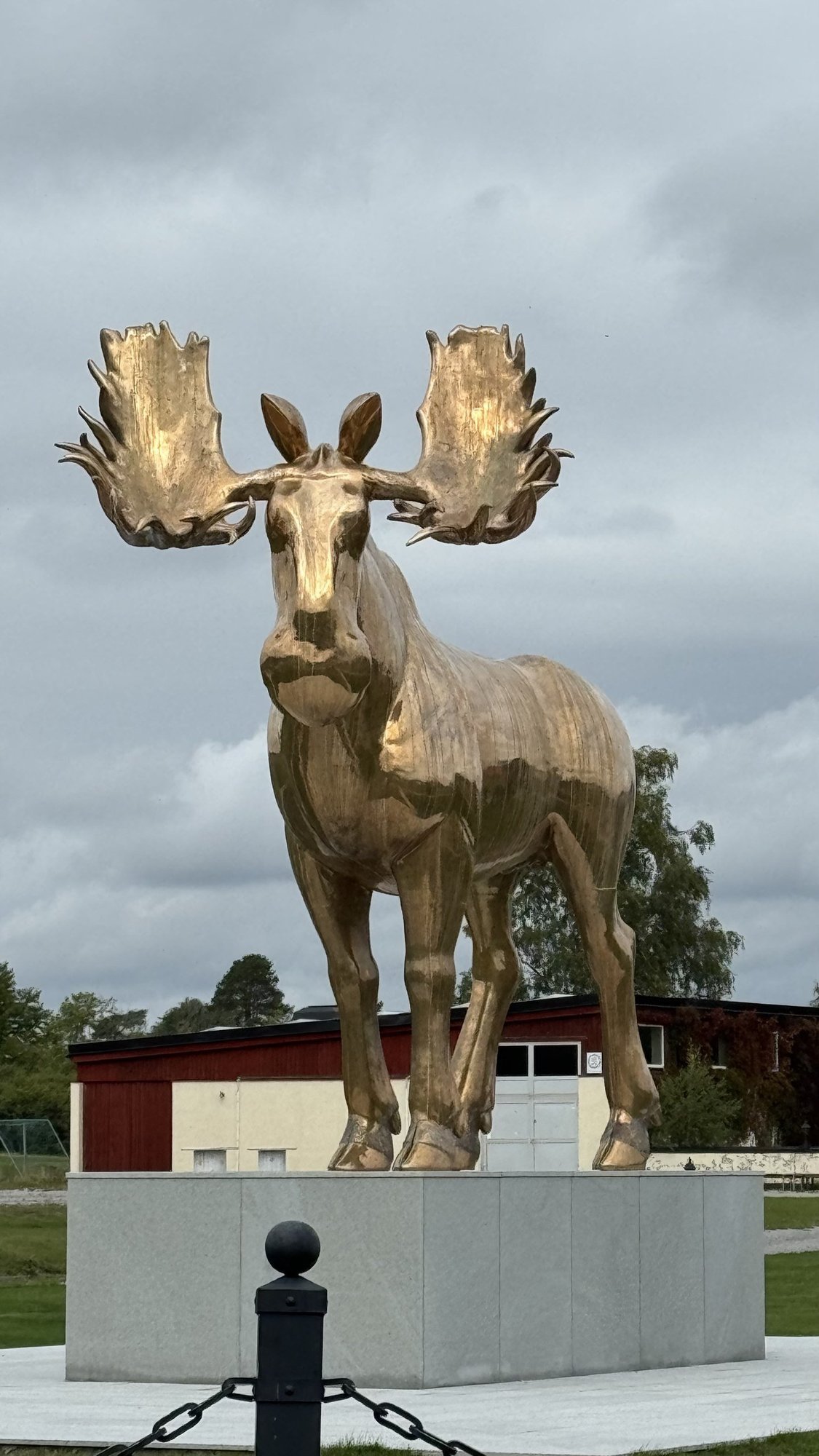 A large golden moose statue with tall antlers, standing on a stone plinth, with trees and a red building behind it.