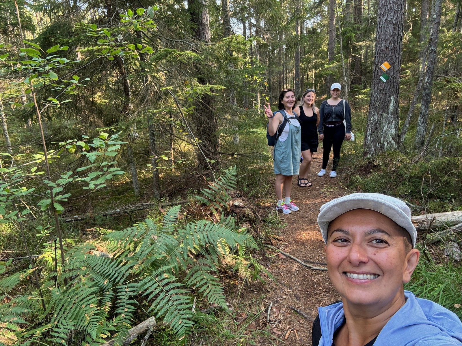 Small group hiking through forest near Stockholm with a local guide