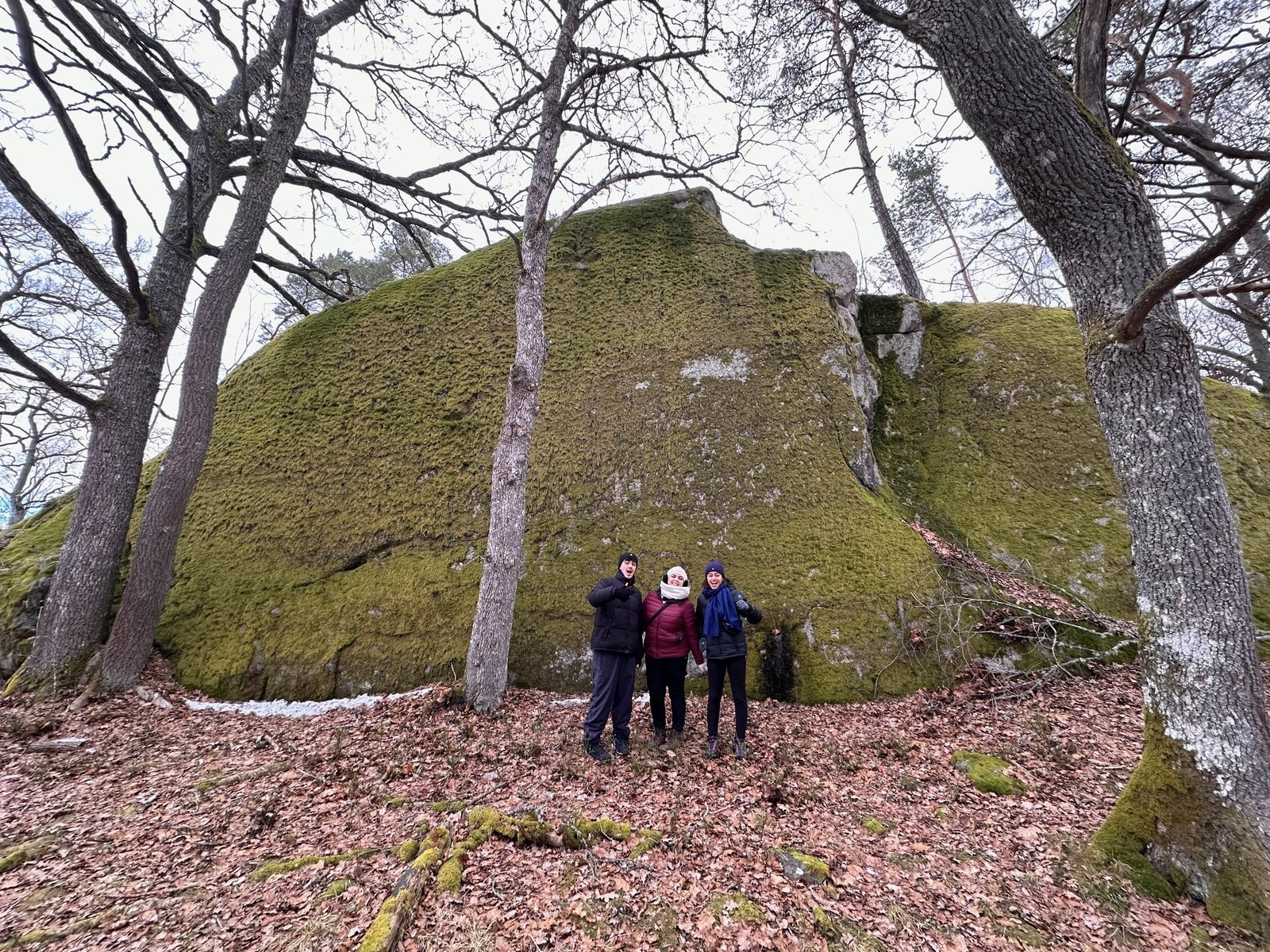 Rocky outcrop viewpoint in the forest outside Stockholm
