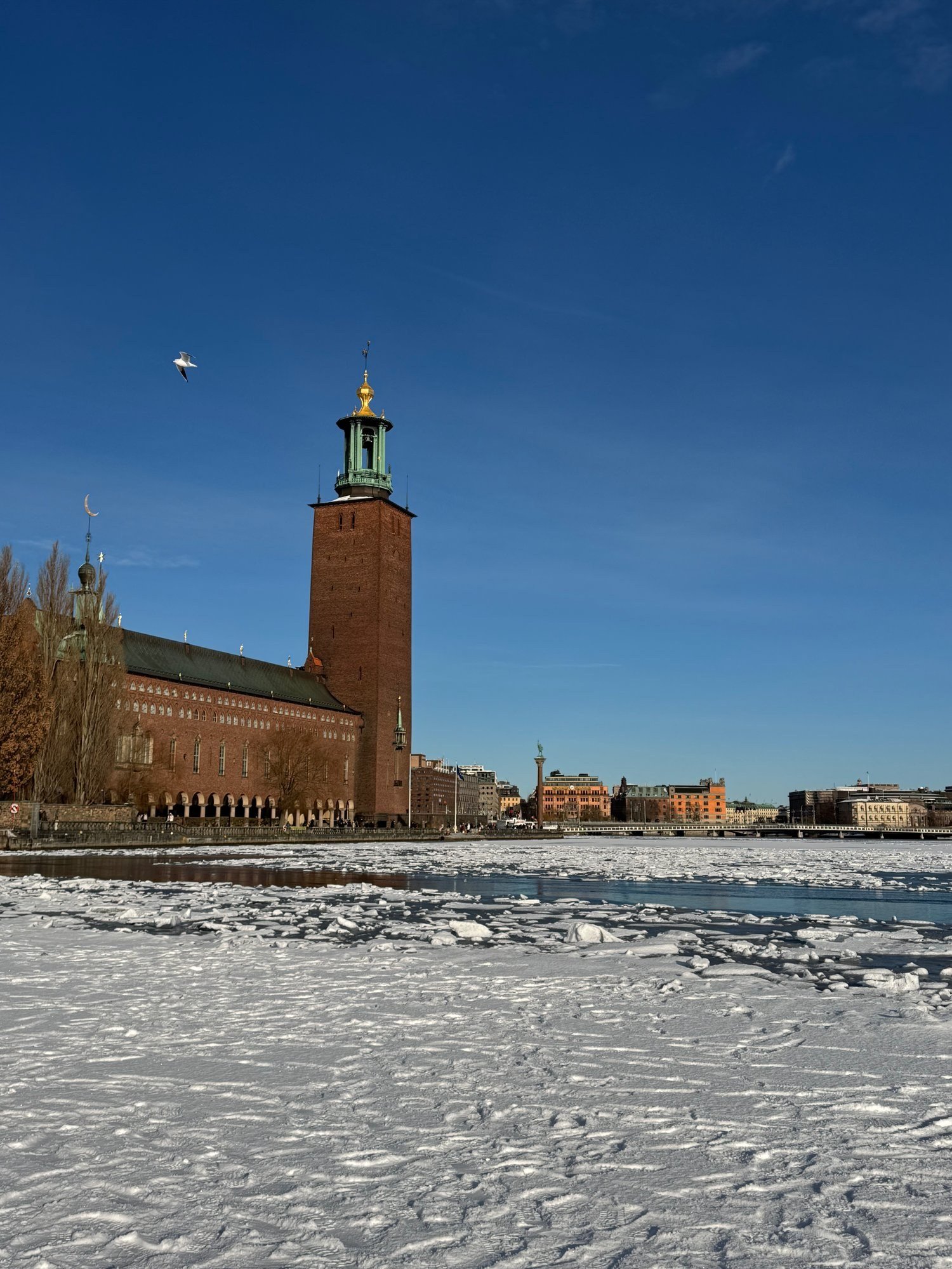 Stockholm City Hall and its tall brick tower behind the frozen, snow-covered bay of Riddarfjärden.
