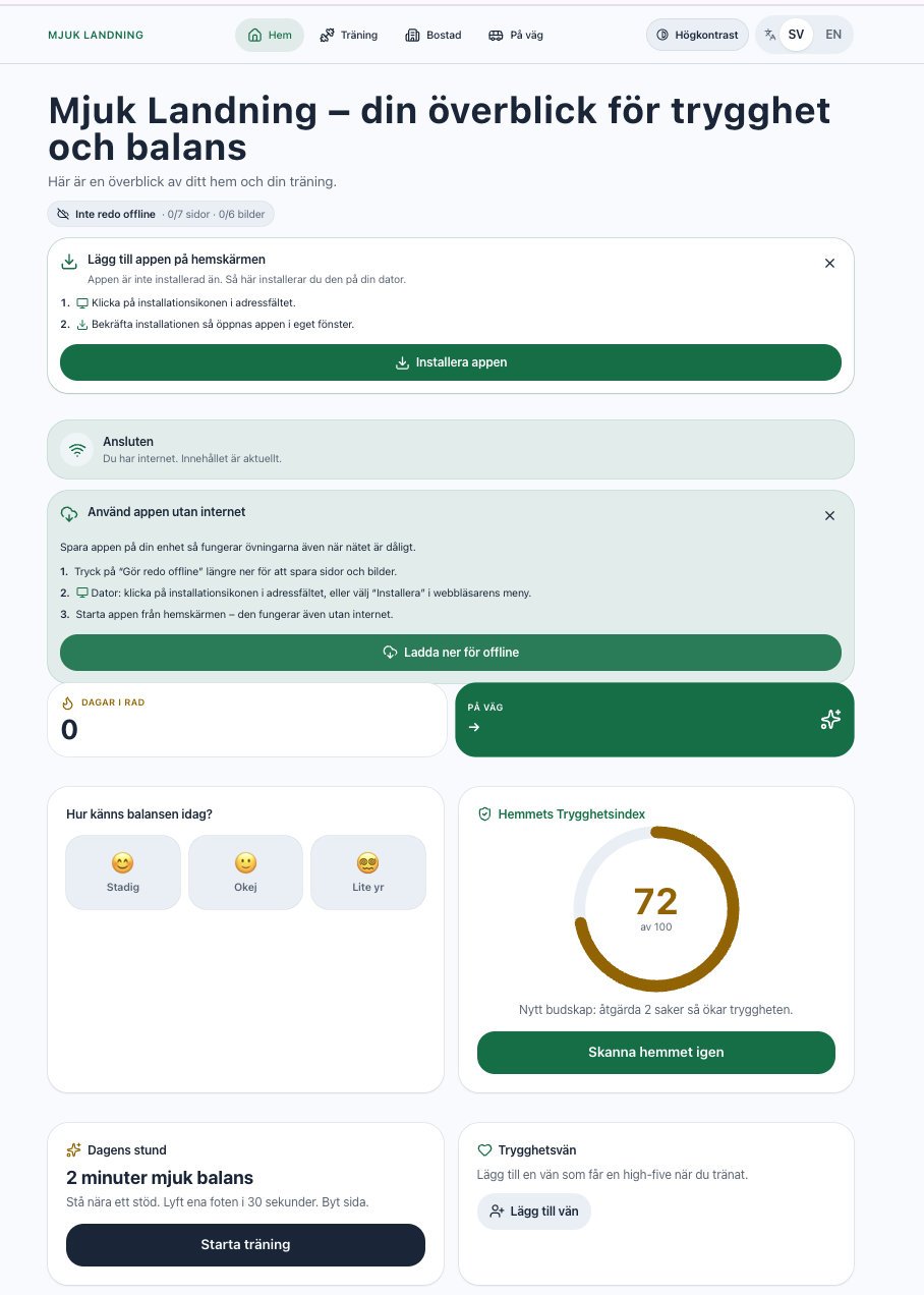 Home screen with a balance check-in, a home safety index of 72 out of 100 and a two-minute daily exercise.