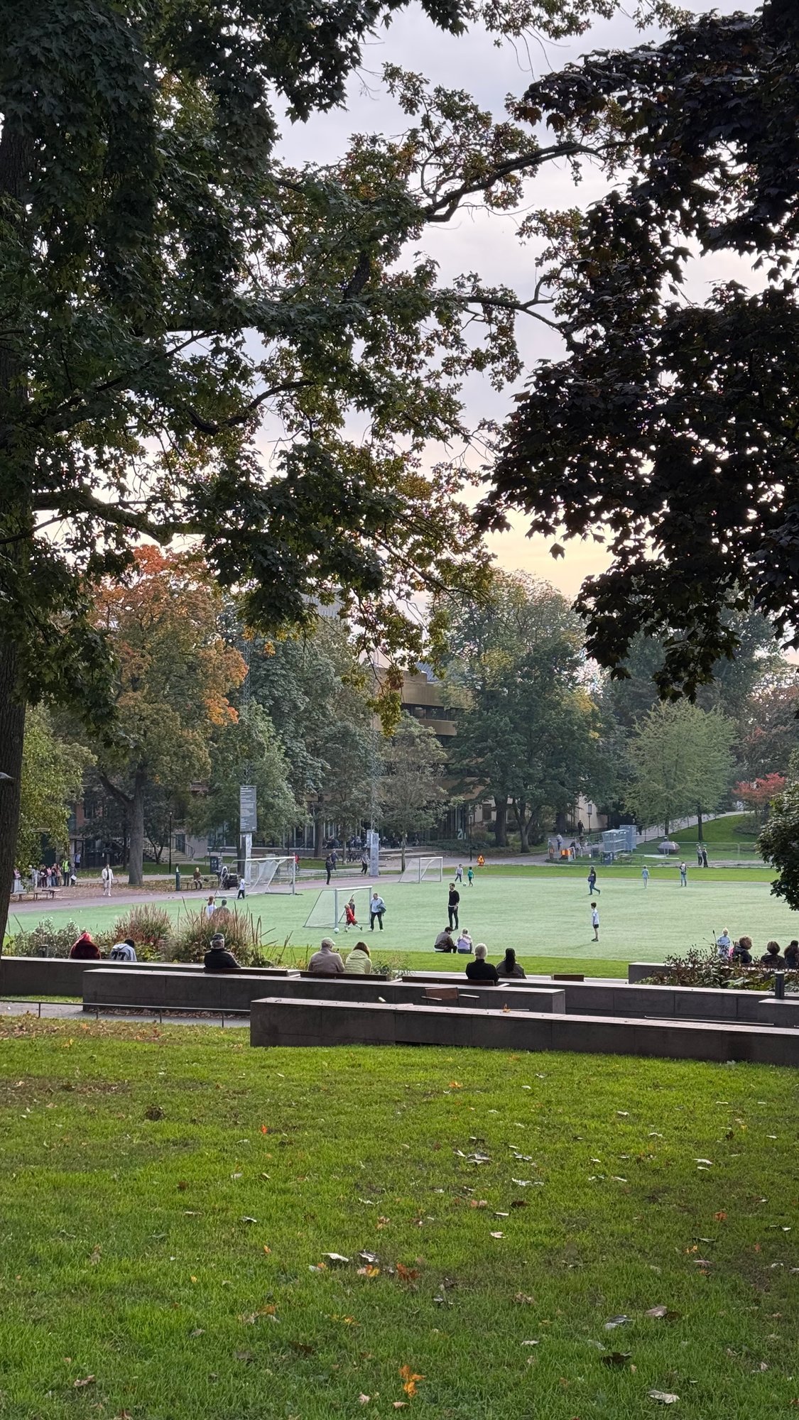 Green lawn and a sports field in Vasaparken, with autumn trees and people sitting on a low wall.