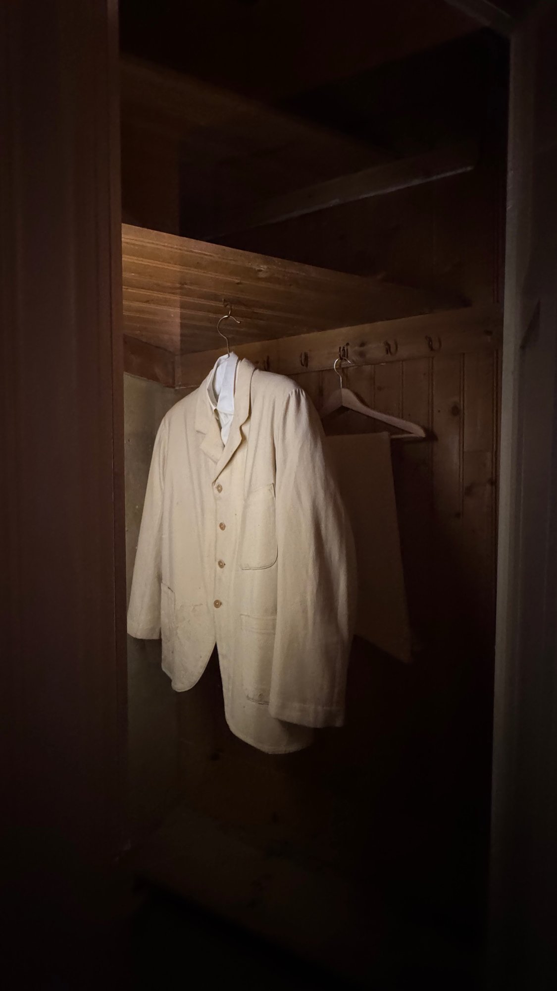 Pale jacket hanging on a hook in a dark wooden wardrobe.