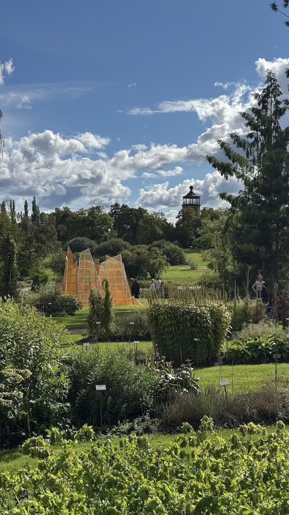 Wide view over garden beds at Bergianska Trädgården, with small ornamental pyramid structures and trees.