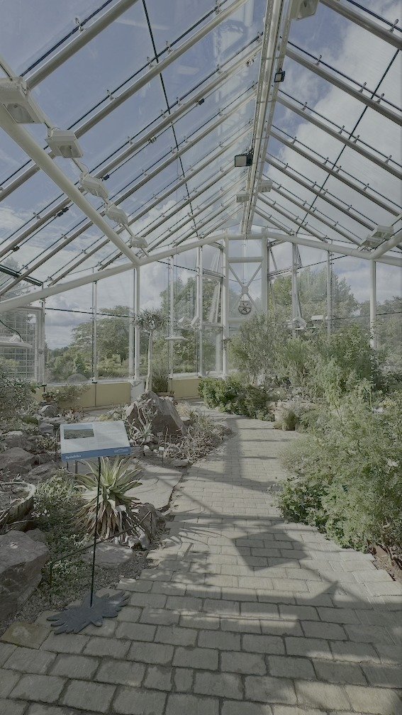 Brick path through a glass greenhouse filled with desert and tropical plants at Bergianska Trädgården.