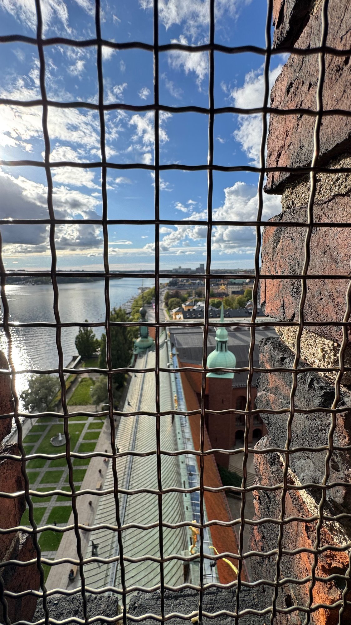 View through a square metal mesh from a high window: a long green copper roof, a lawn with paths, the water and a green tower top on the far side.