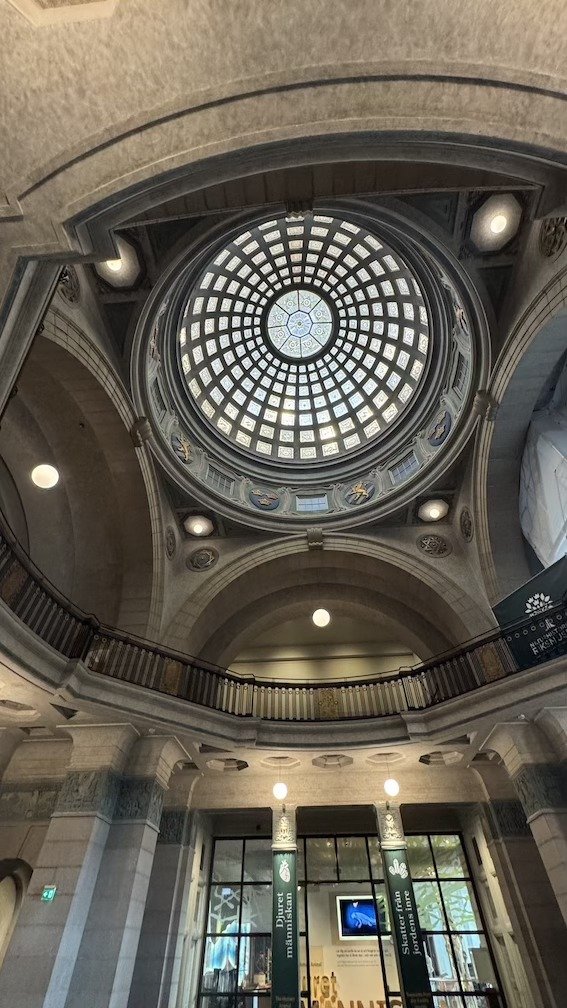 Looking up at the ornate glass dome above the rotunda hall at Naturhistoriska Riksmuseet, with balconies ringing the space below.