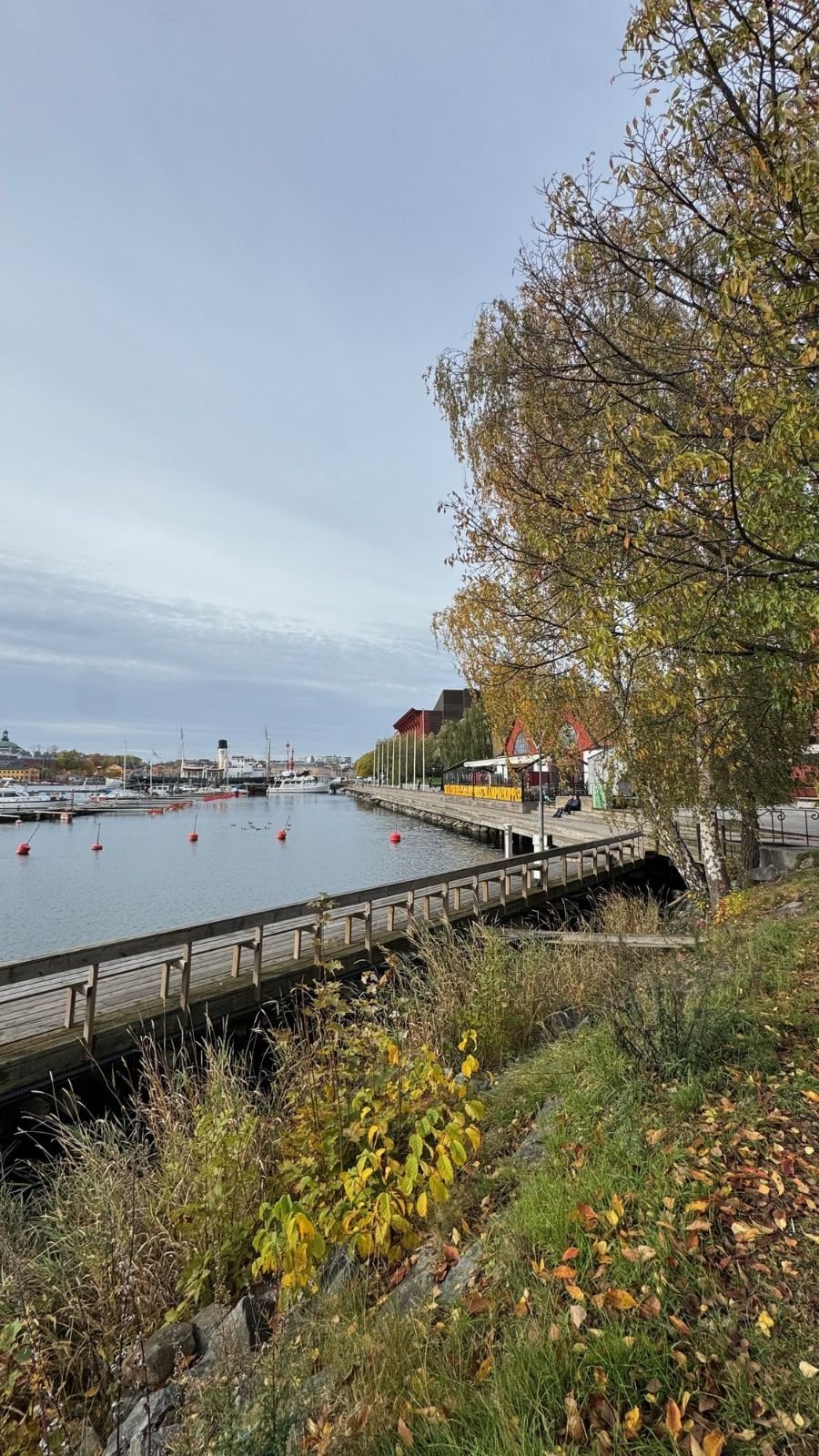 A path along the water on Djurgården with autumn trees, boats and a yellow tram, on the way to Waldemarsudde.
