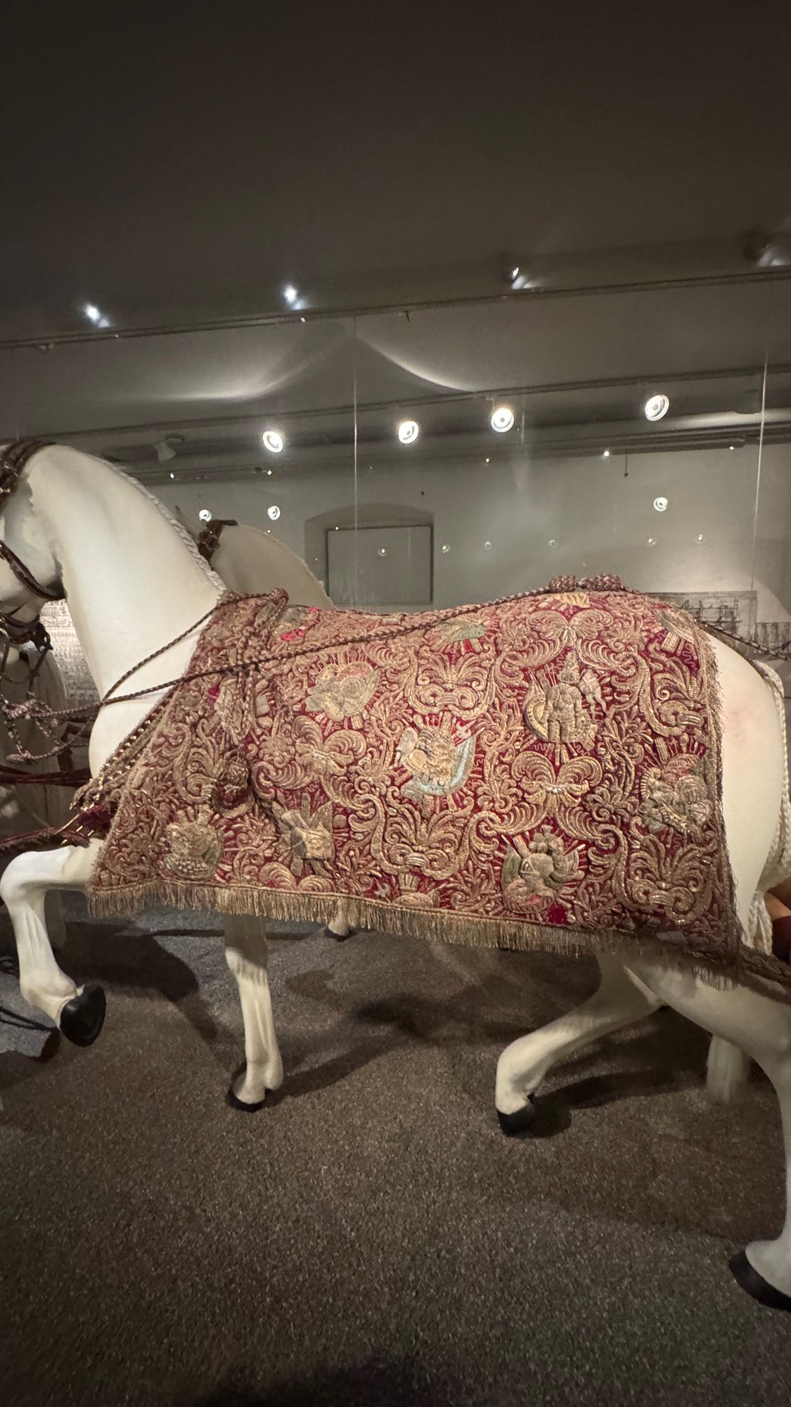 White model horse with a red and gold embroidered saddle cloth and harness from Queen Kristina's coronation coach team.