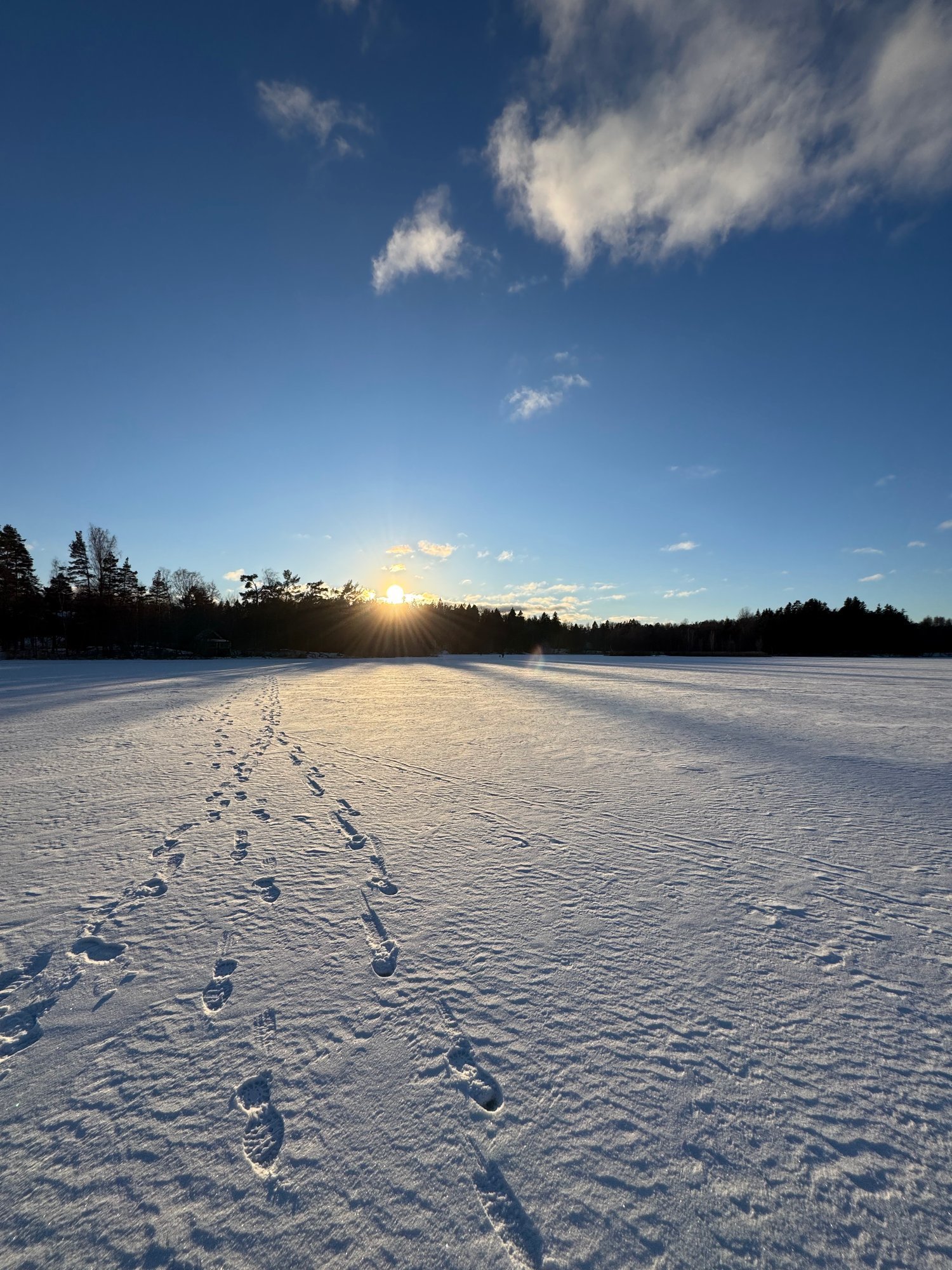 Footprints in fresh snow lead across a frozen lake toward a forest, with the low sun on the horizon.