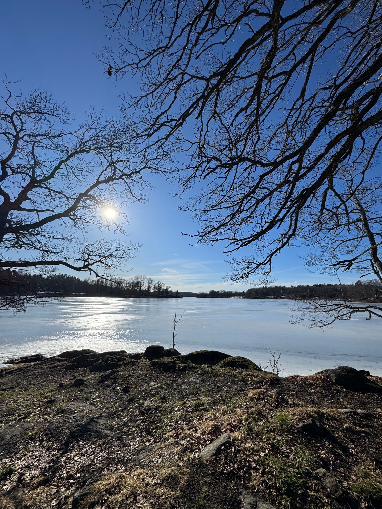 Low winter sun shines over a frozen lake, seen through bare tree branches from a rocky shore.