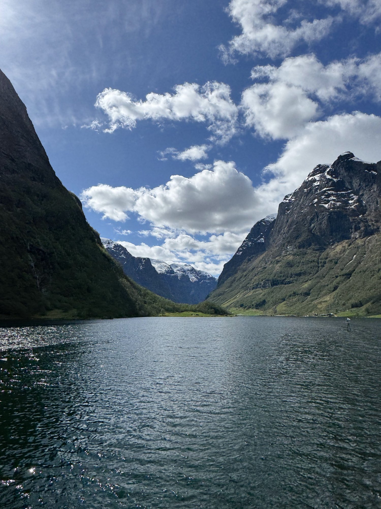 Calm fjord water between steep green mountains, with a snowy peak at the end.