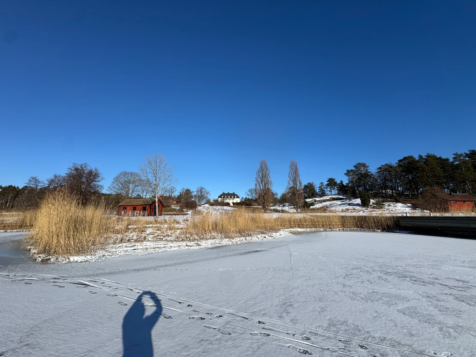 A frozen bay under a deep blue sky, with reeds, a red boathouse on the shore and the photographer's shadow on the ice.