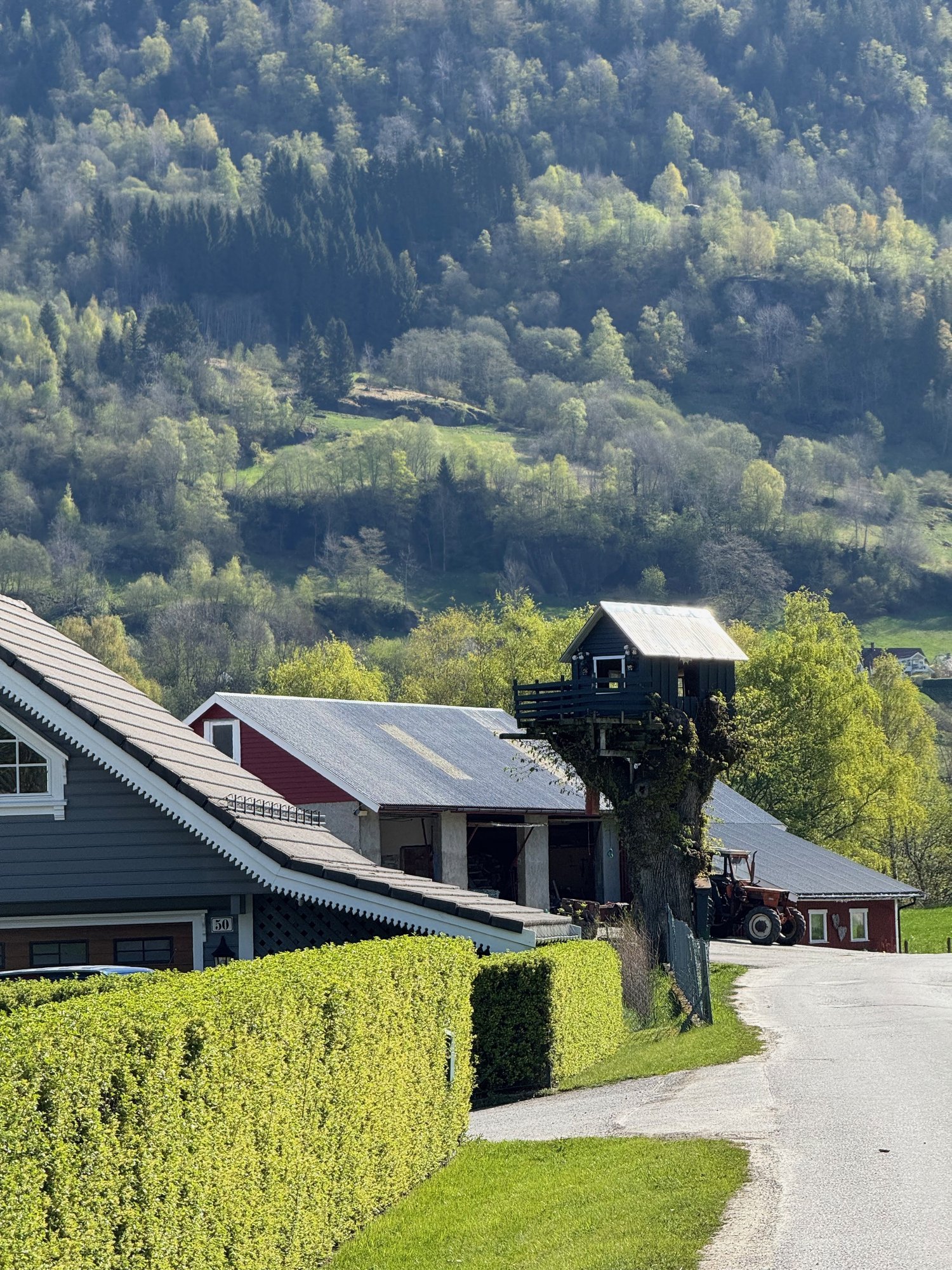 A grey farmhouse, a red barn and a small treehouse on a tree trunk in western Norway