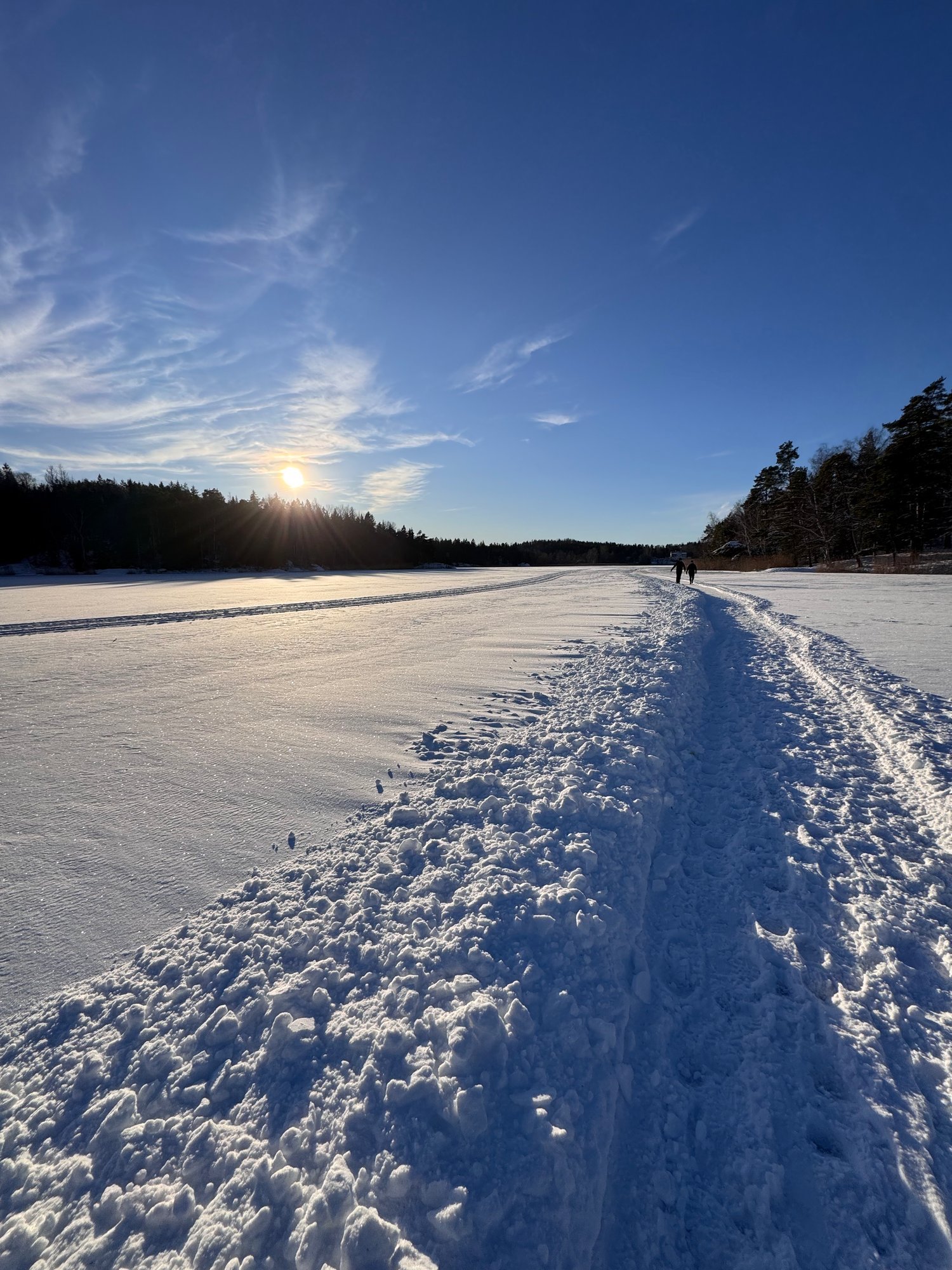 A ski track runs across a snowy frozen lake toward the low sun, with forest along the shore.