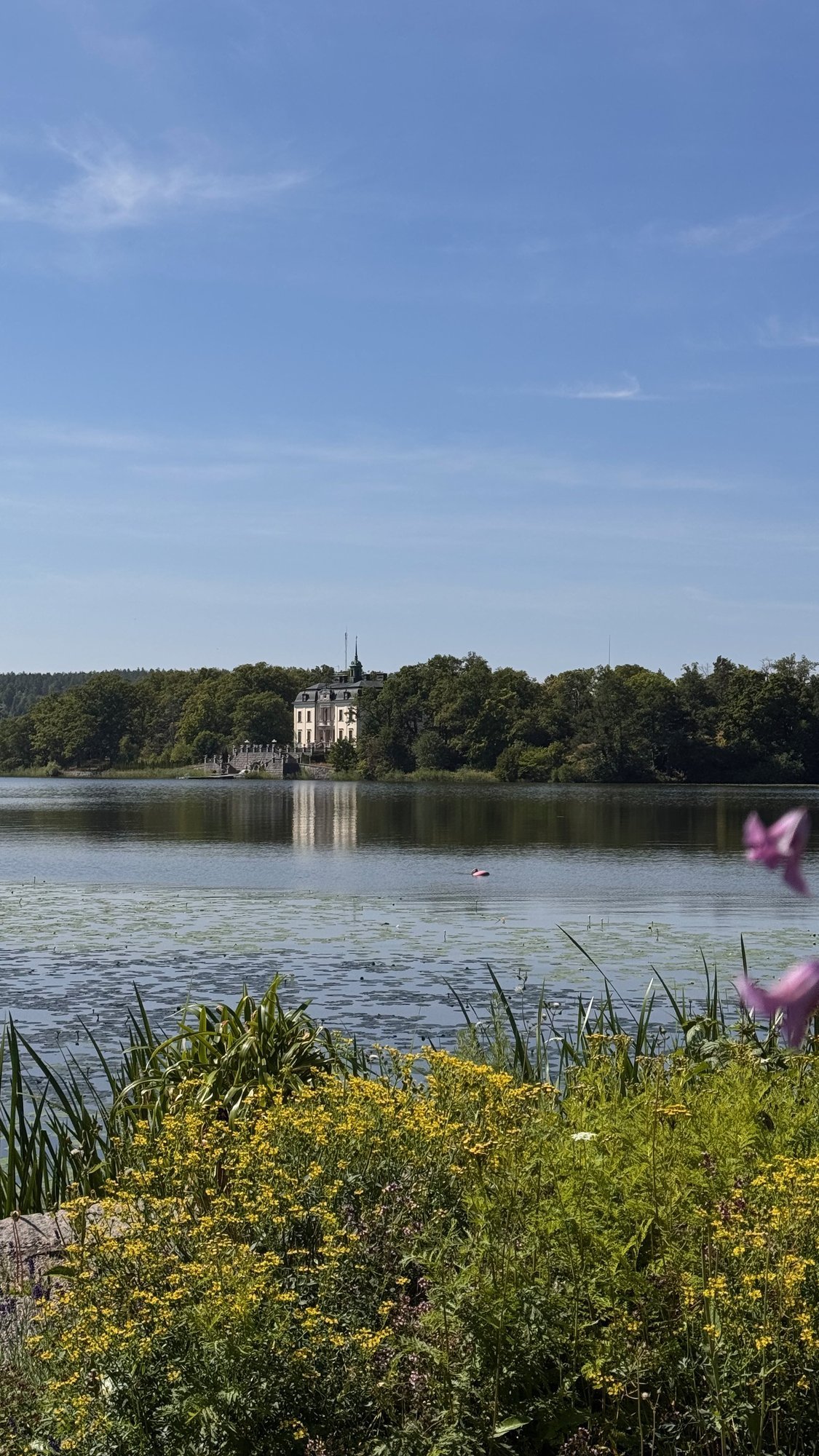 Mariefred with the church tower seen across the lake