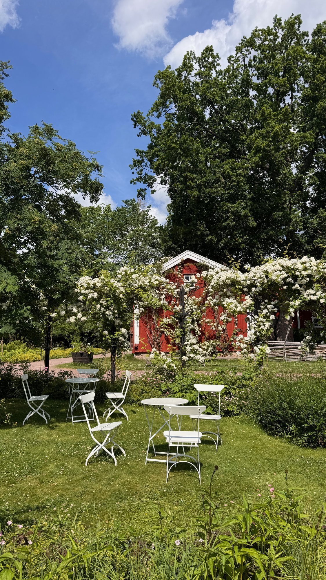 Red cottages and garden in Vimmerby