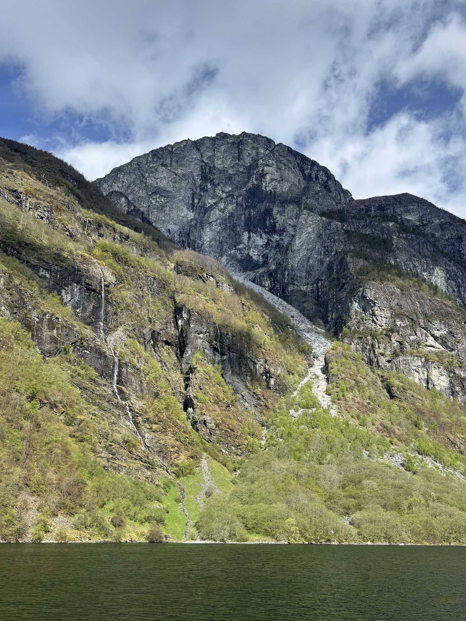 Waterfalls into the Nærøyfjord